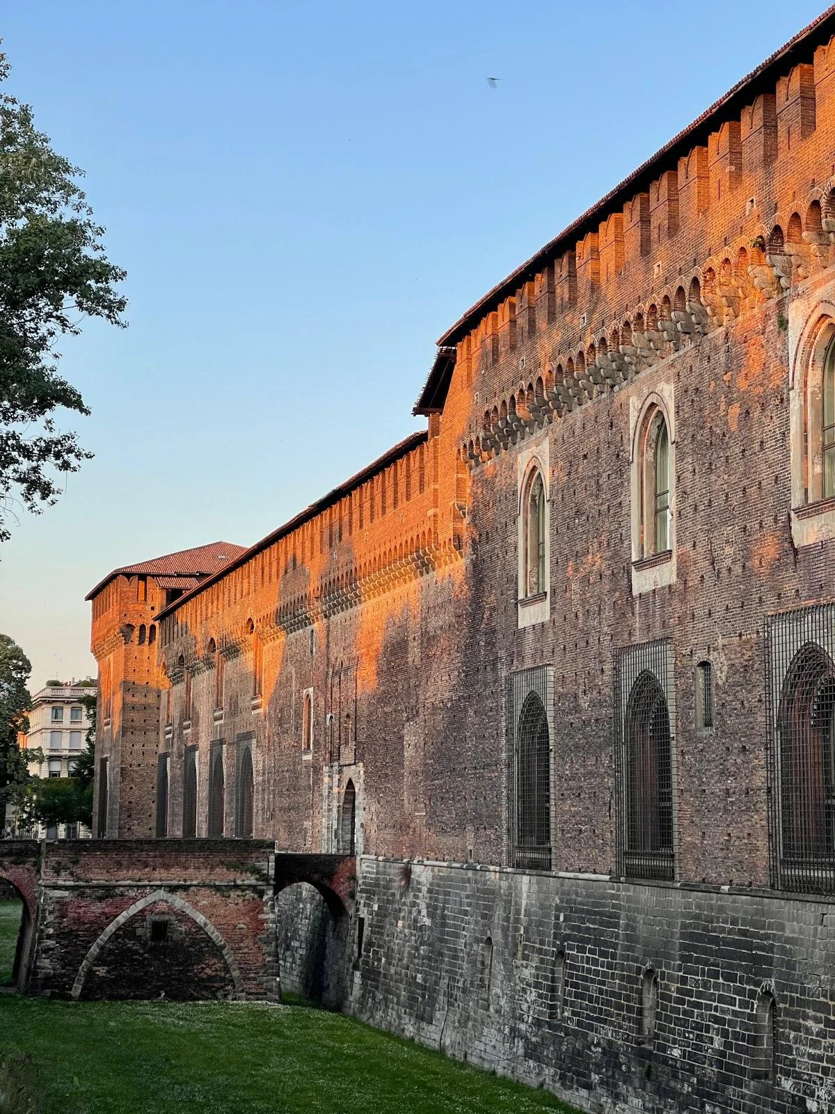 WhatsApp Image 2026-03-23 at 15.06.41.jpeg