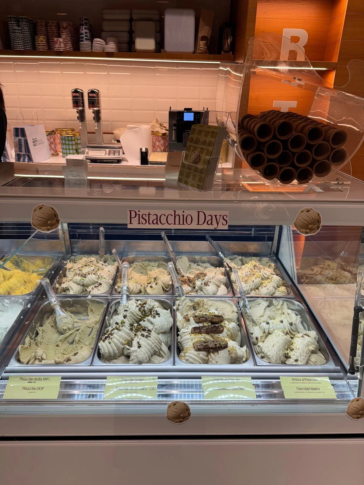 WhatsApp Image 2026-03-23 at 15.07.50.jpeg