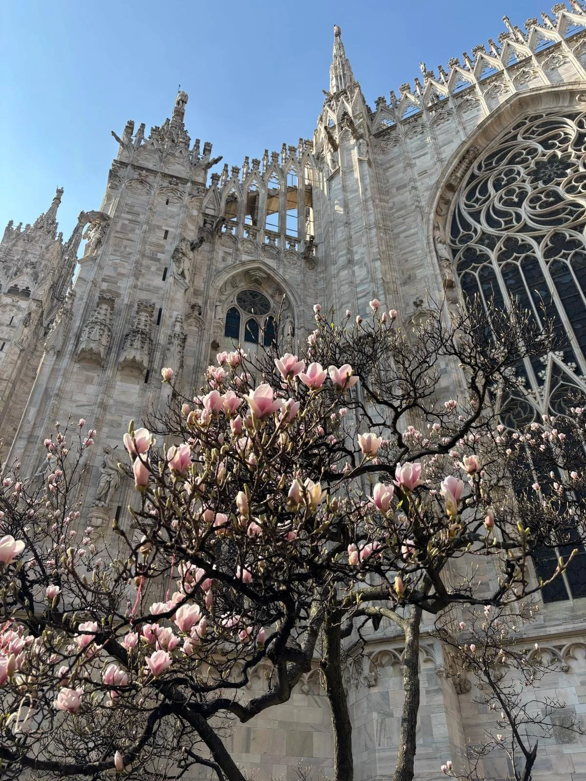 Cute Date Ideas in Milan for Spring