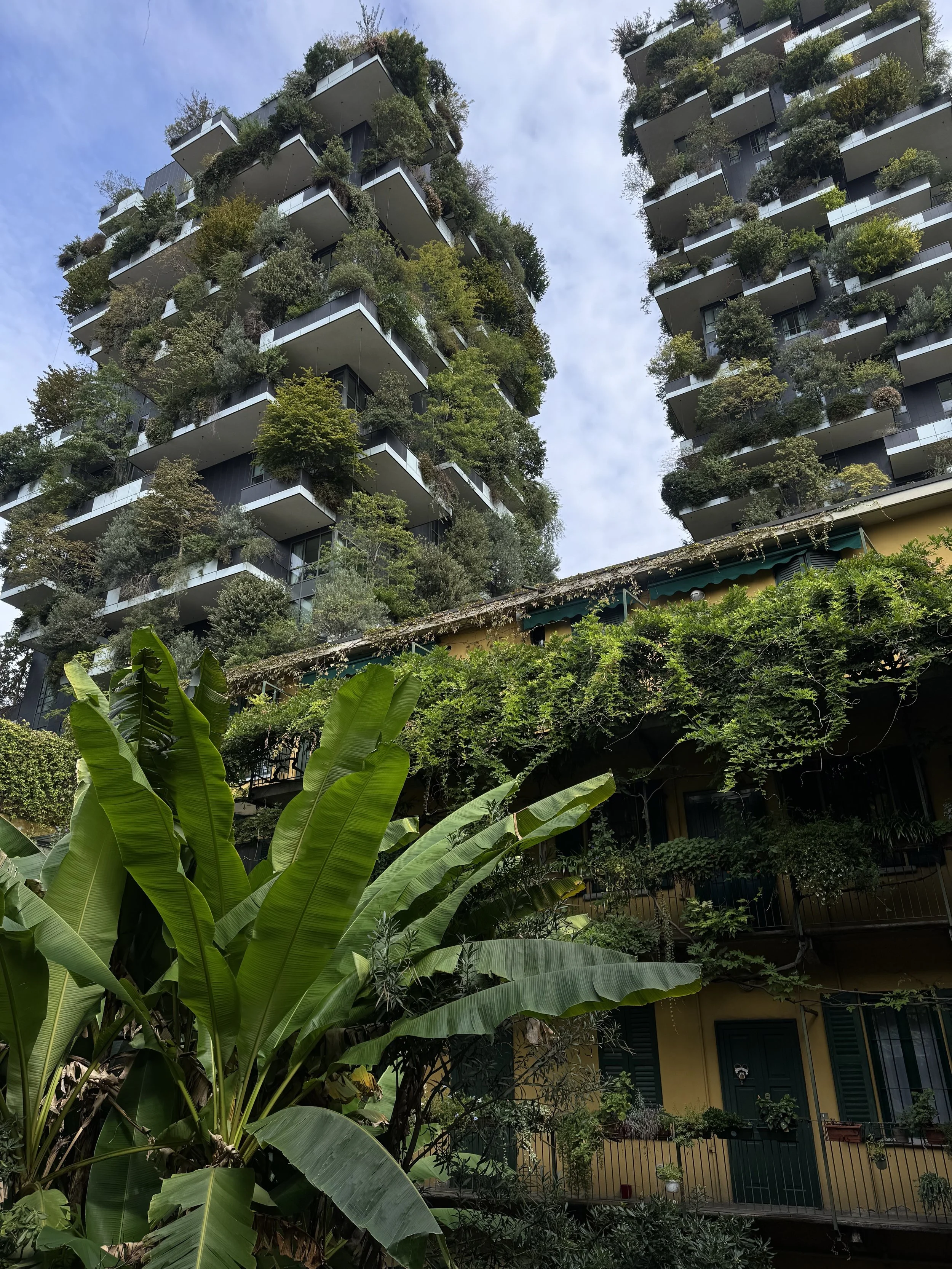 Where to Be in Milan: Isola