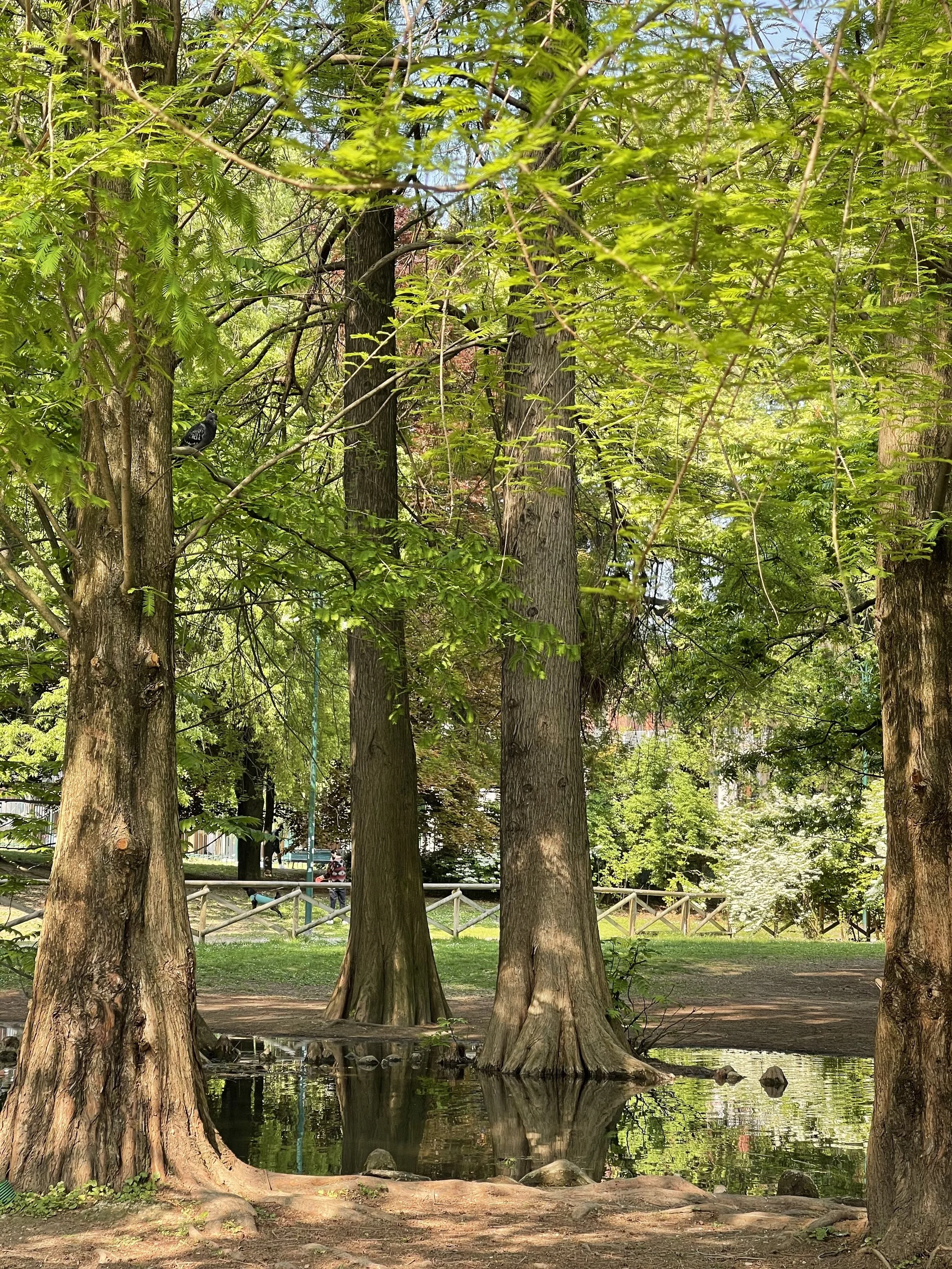 Where to Be in Milan: Sempione
