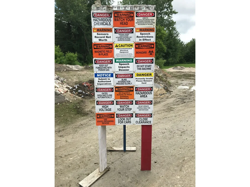 American Enantiodromia