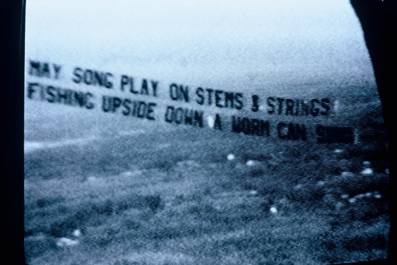 Boston Kite Festival