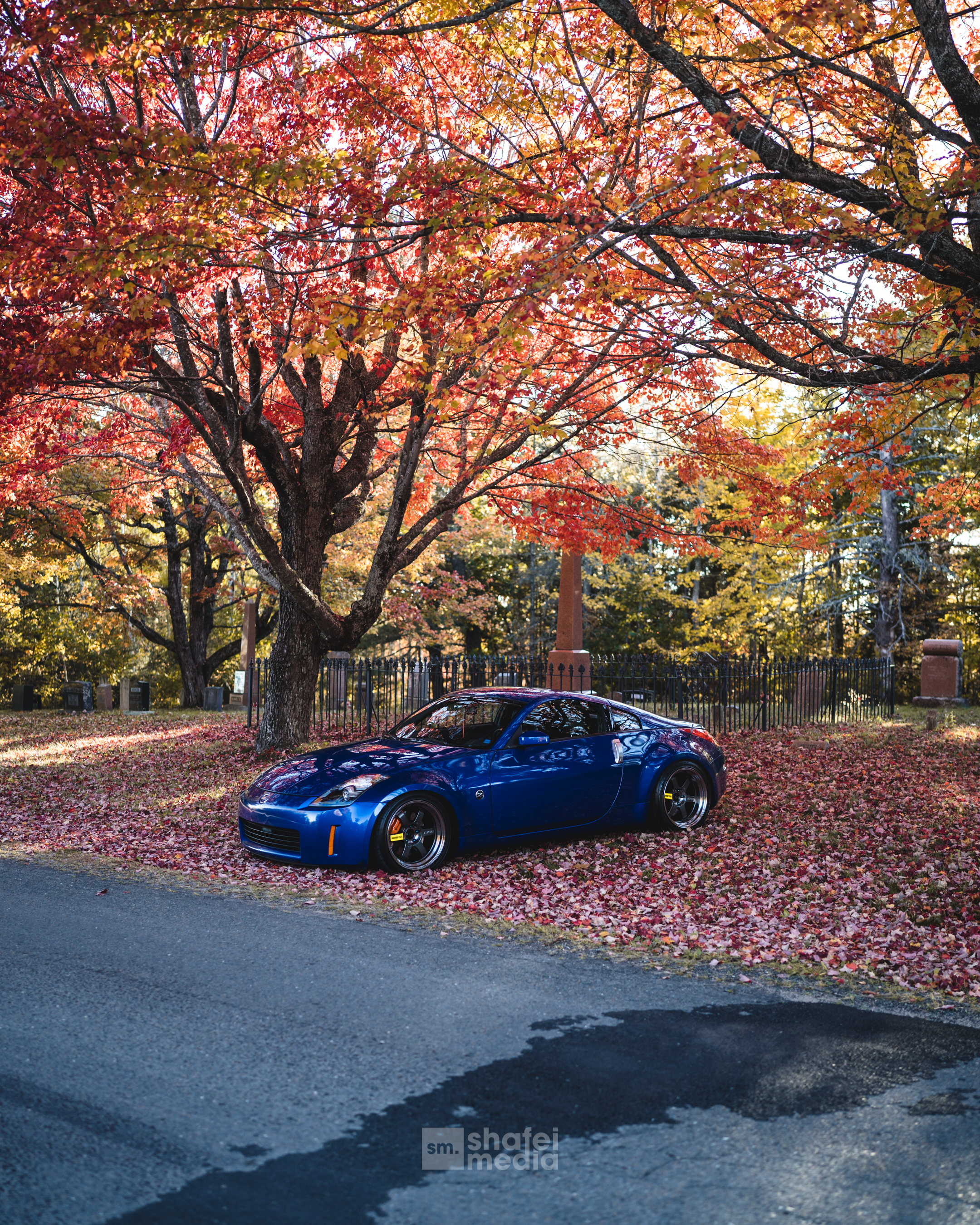 DSC02496.png