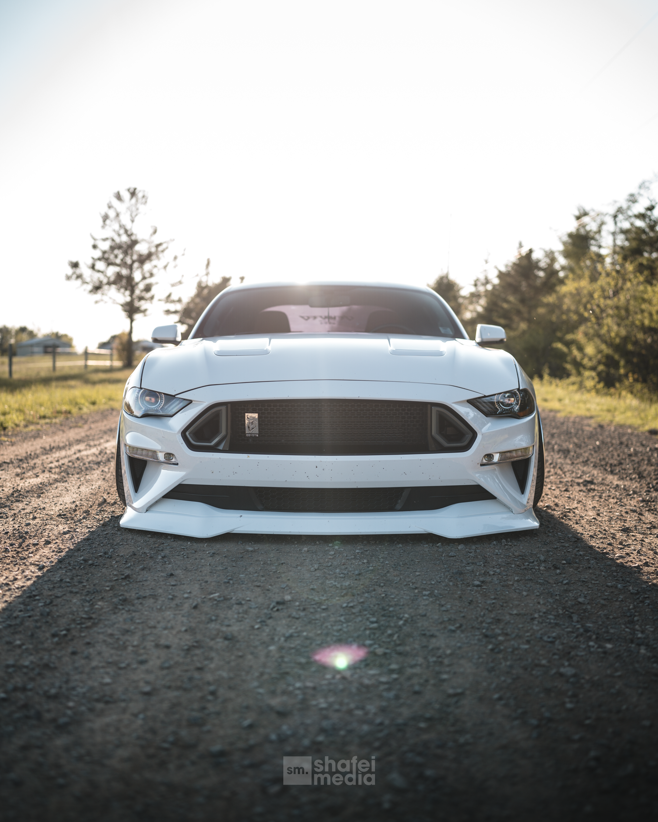 DSC08210.png