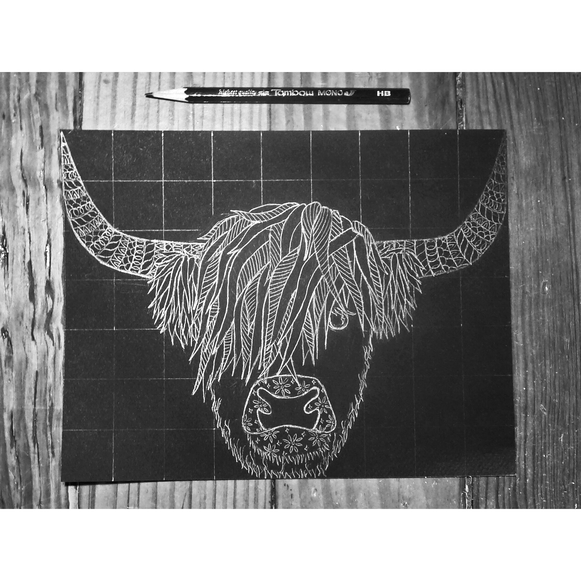 Highland cow paper (2637845)