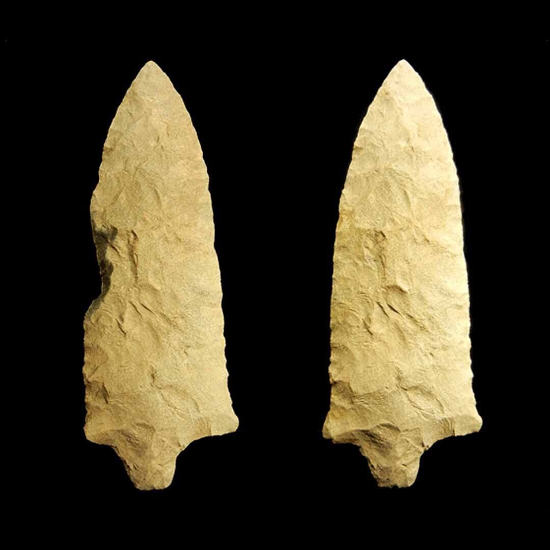 Savannah River from South Carolina, restored for a customer, just under 6 inches #arrowhead #artifact #relic #nativeamerican