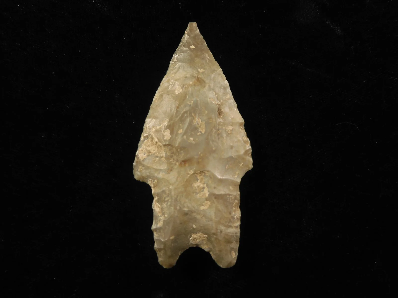 Pedernales from Central Texas