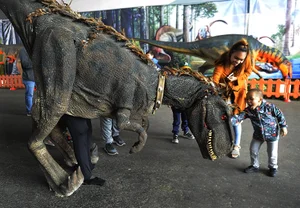 Solano County Fairgrounds — Visit Vallejo