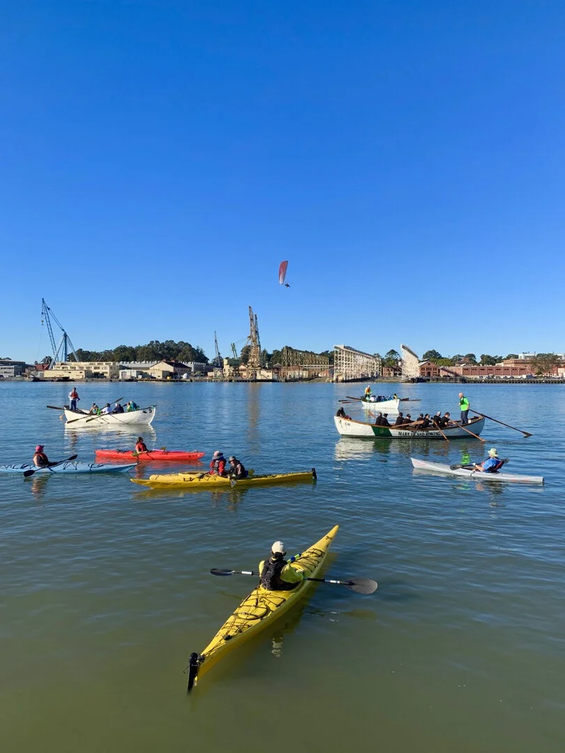 Vallejo Waterfront Marina Kayak.jpeg
