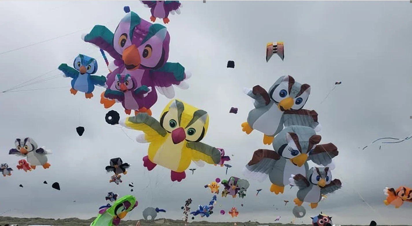 FREE Vallejo Kite Festival