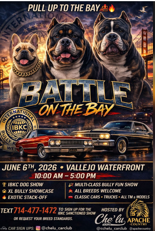 Battle of the Bay Car Show