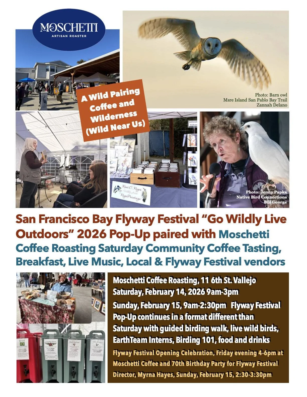 San Francisco Bay Flyway Festival Pop-Up