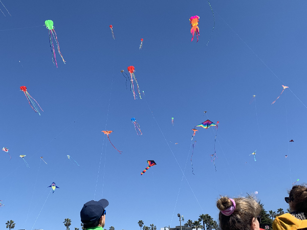 FREE Vallejo Kite Festival