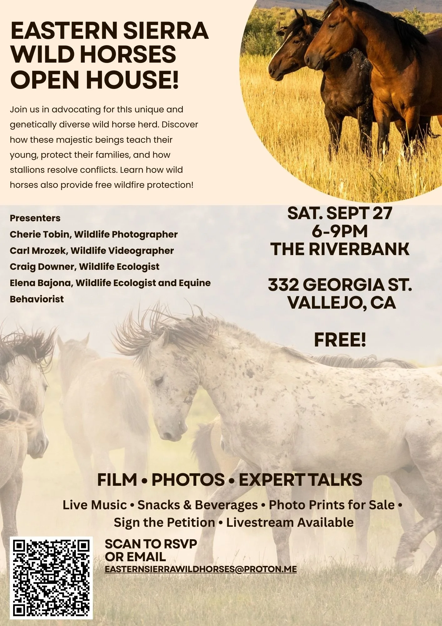 Eastern Sierra Wild Horses Event