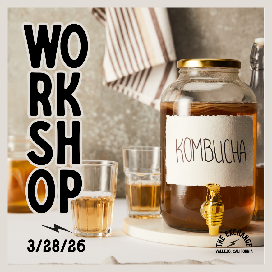 Free Kombucha Workshop