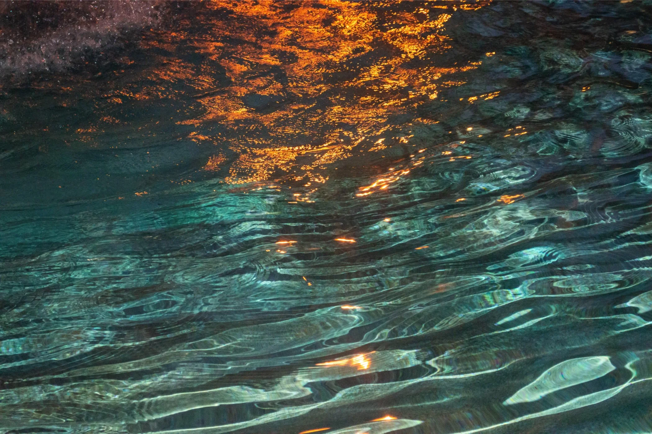 Collection of Nature and Disney Photos by Dani Bailey, Photographic Print, 8.5 x 11, Framed (NFS)