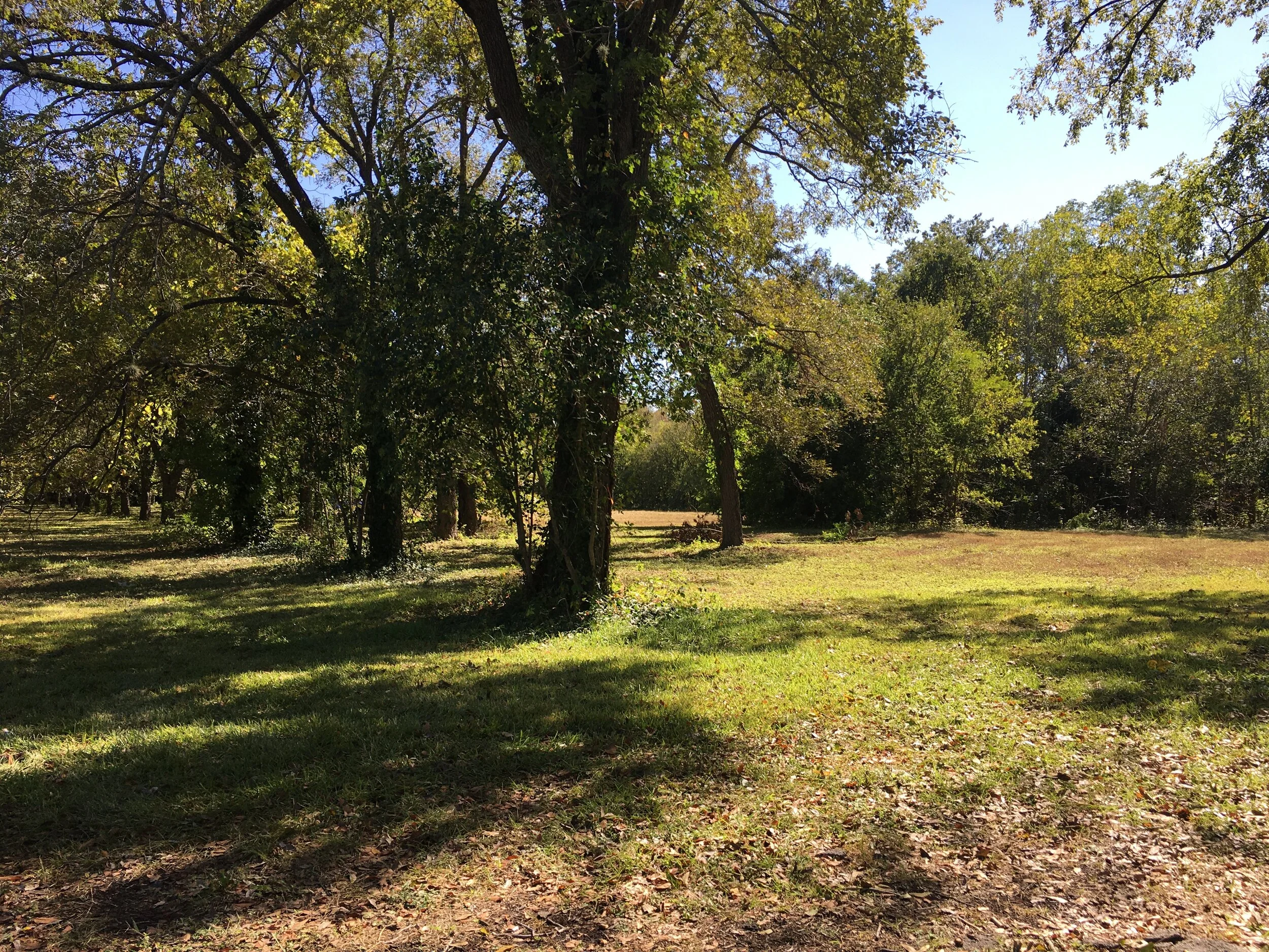 Tillery Awards and Developments