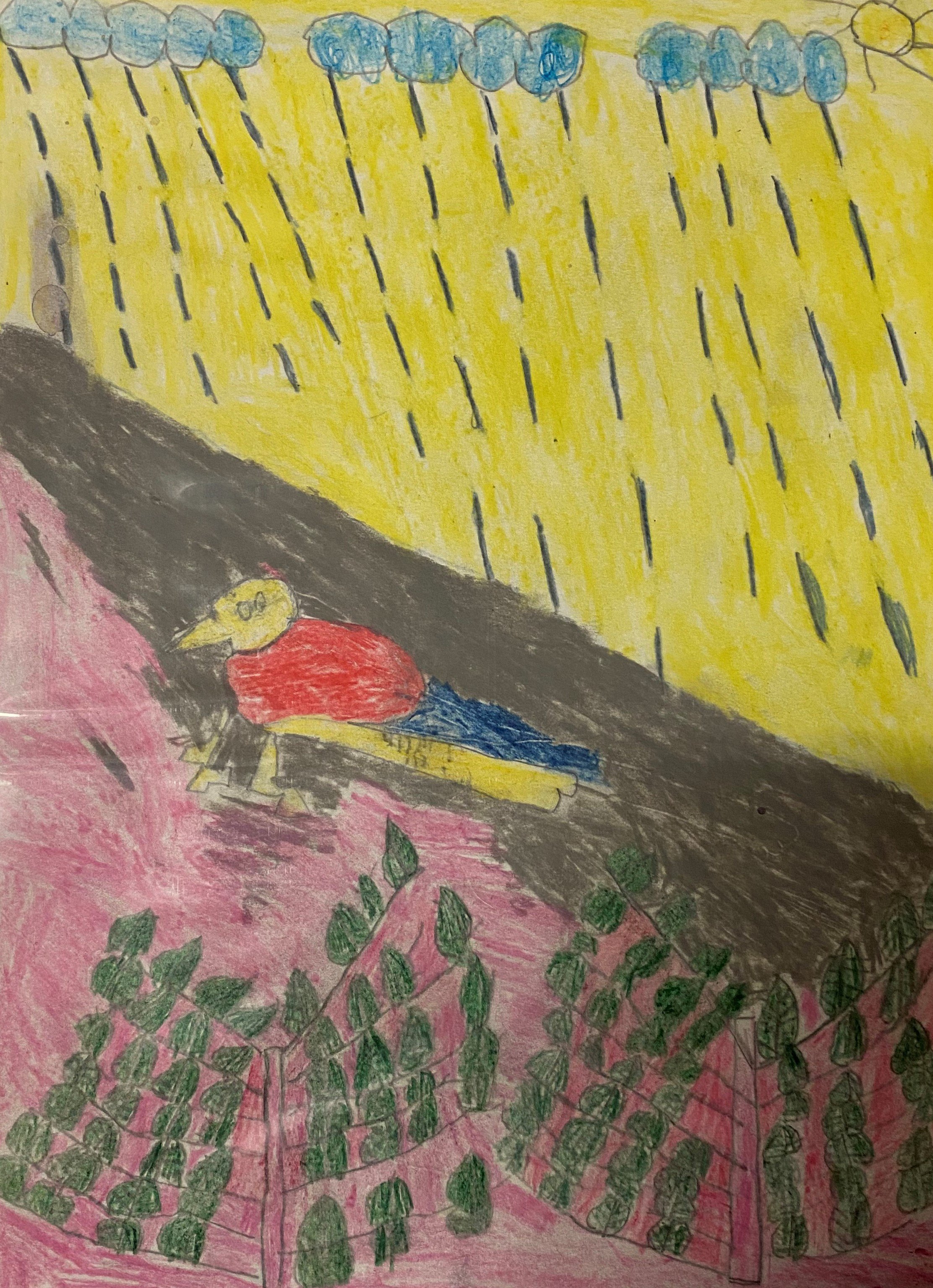 SP Roadrunner in Rain.jpeg