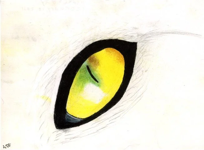 "Cat's Eye" by Natalie Sherwood, Pastel on Paper, 5" x 7" ($50)