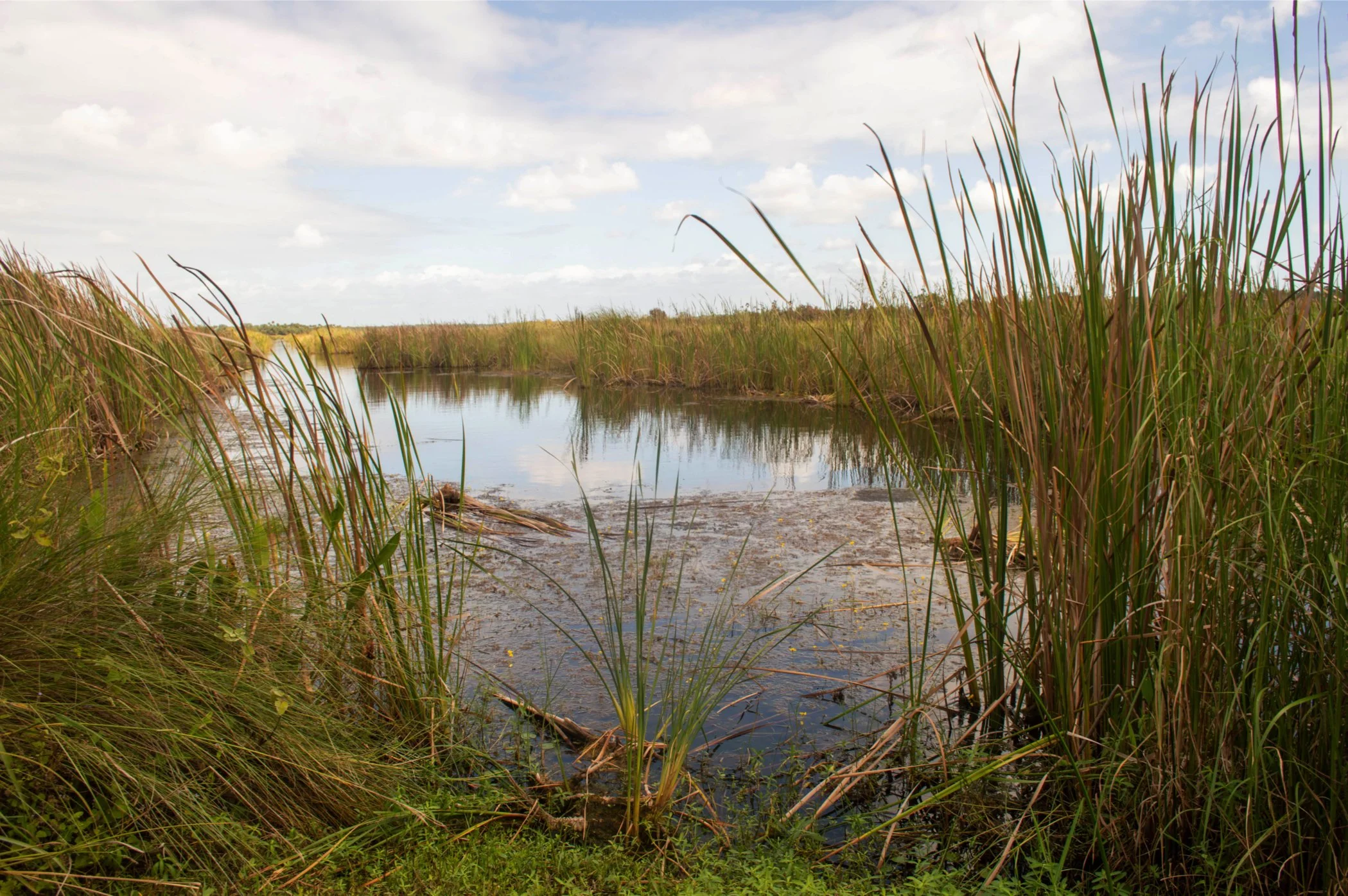 Collection of Nature and Disney Photos by Dani Bailey, Photographic Print, 8.5 x 11, Framed (NFS)