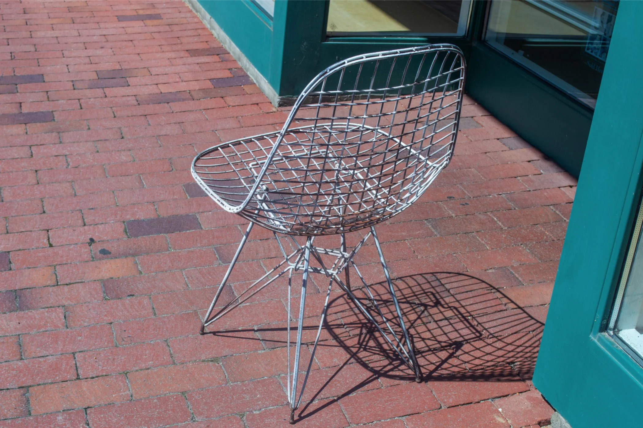 Collection of Nature and Disney Photos by Dani Bailey, Photographic Print, 8.5 x 11, Framed (NFS)