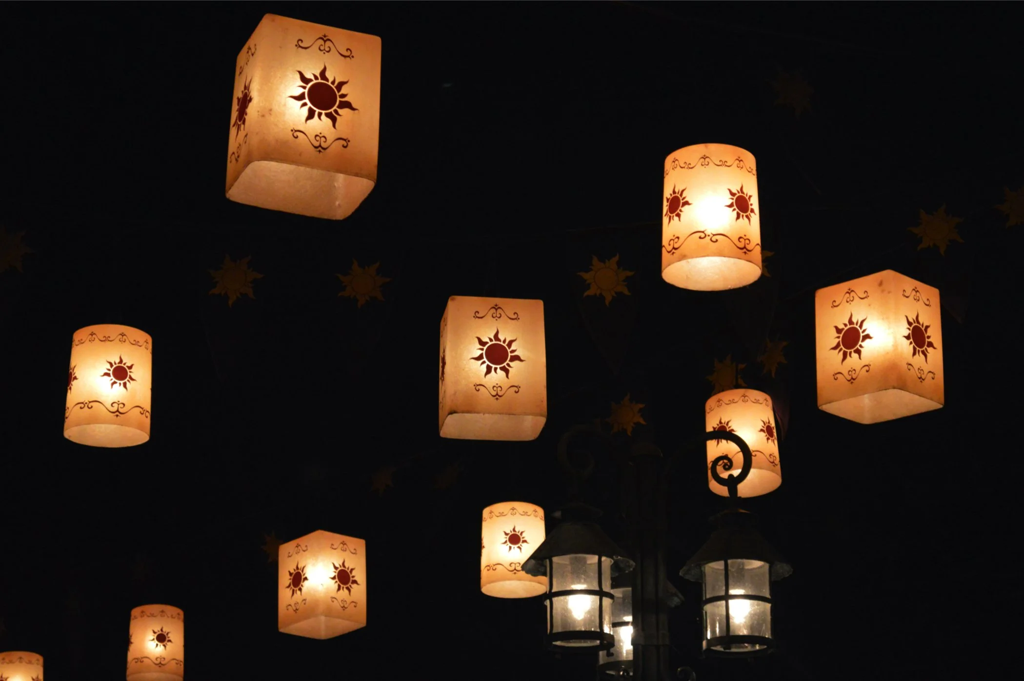 Collection of Nature and Disney Photos by Dani Bailey, Photographic Print, 8.5 x 11, Framed (NFS)