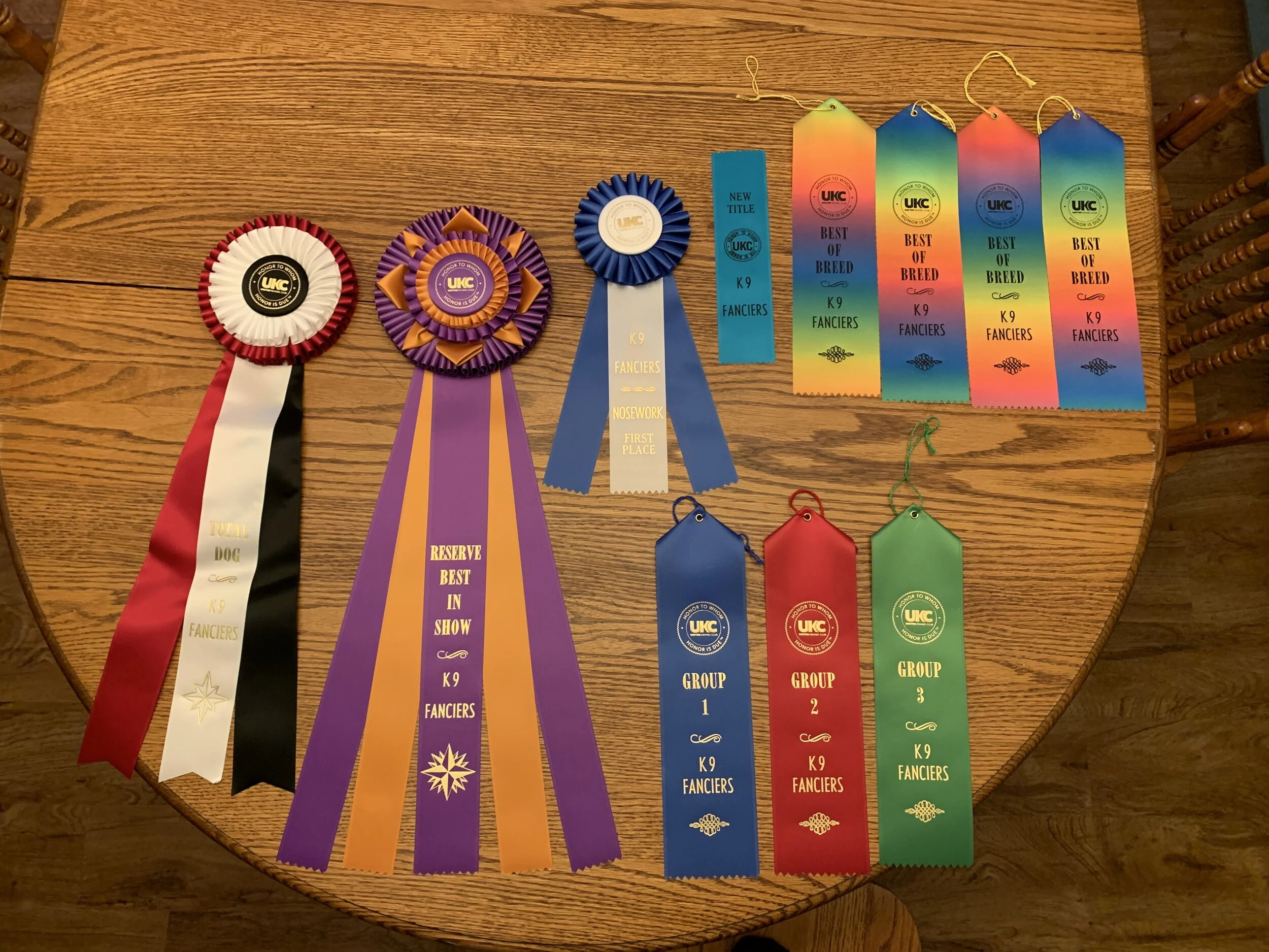 Reserve Best in Show K9 Fanciers UKC Show February 2020