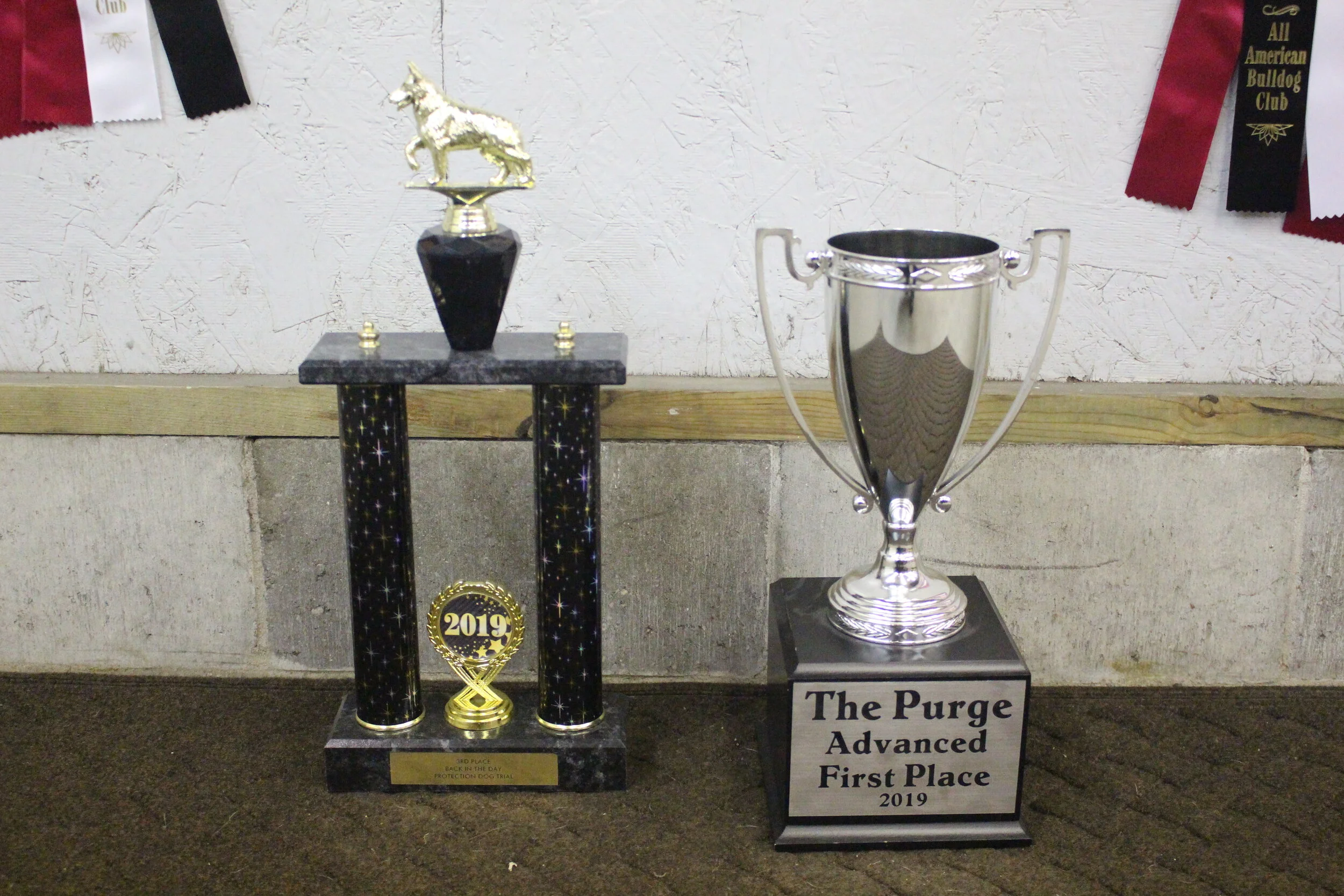 2019 Awards Bitesports Trophies