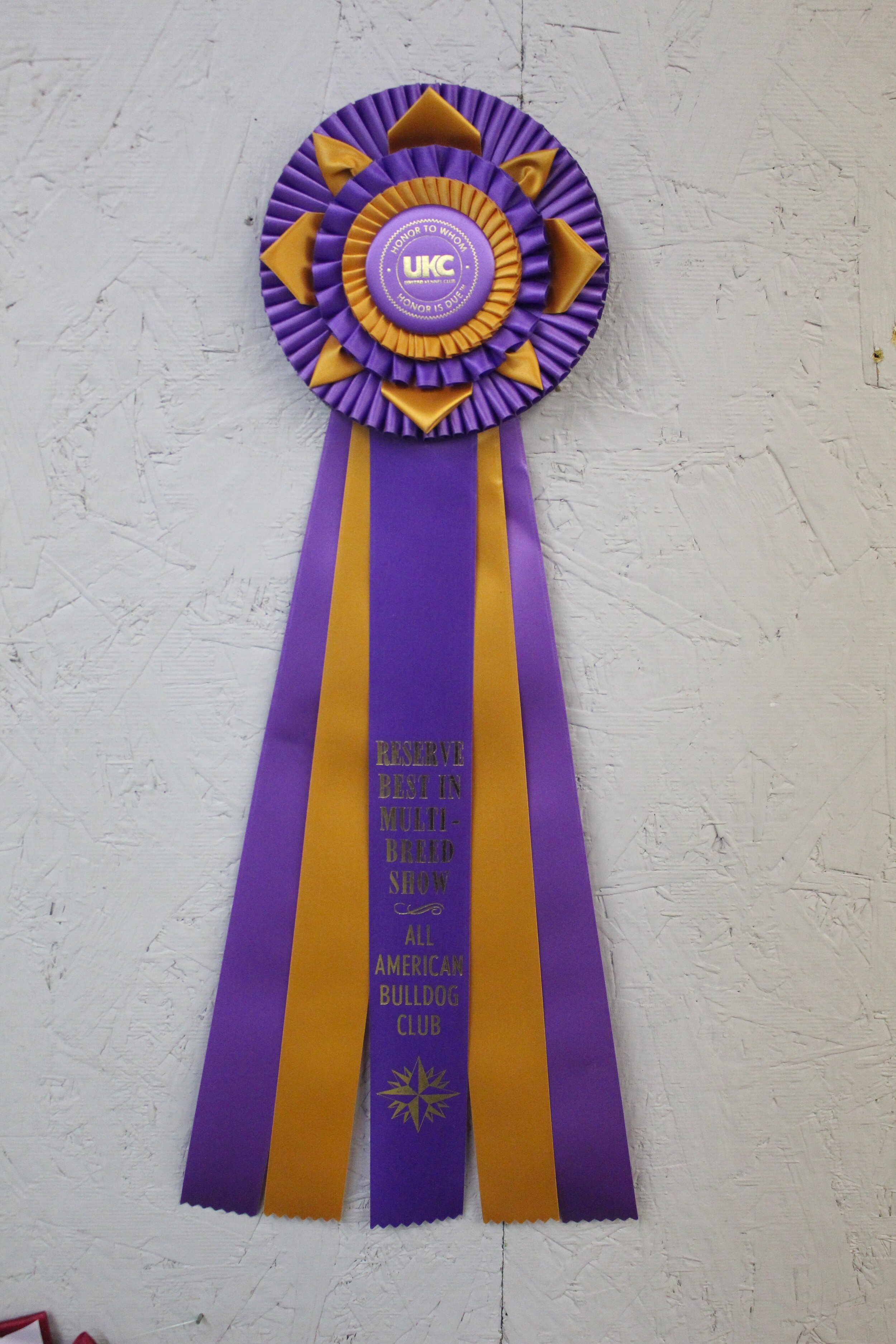 2019 Awards Reserve Best in Show