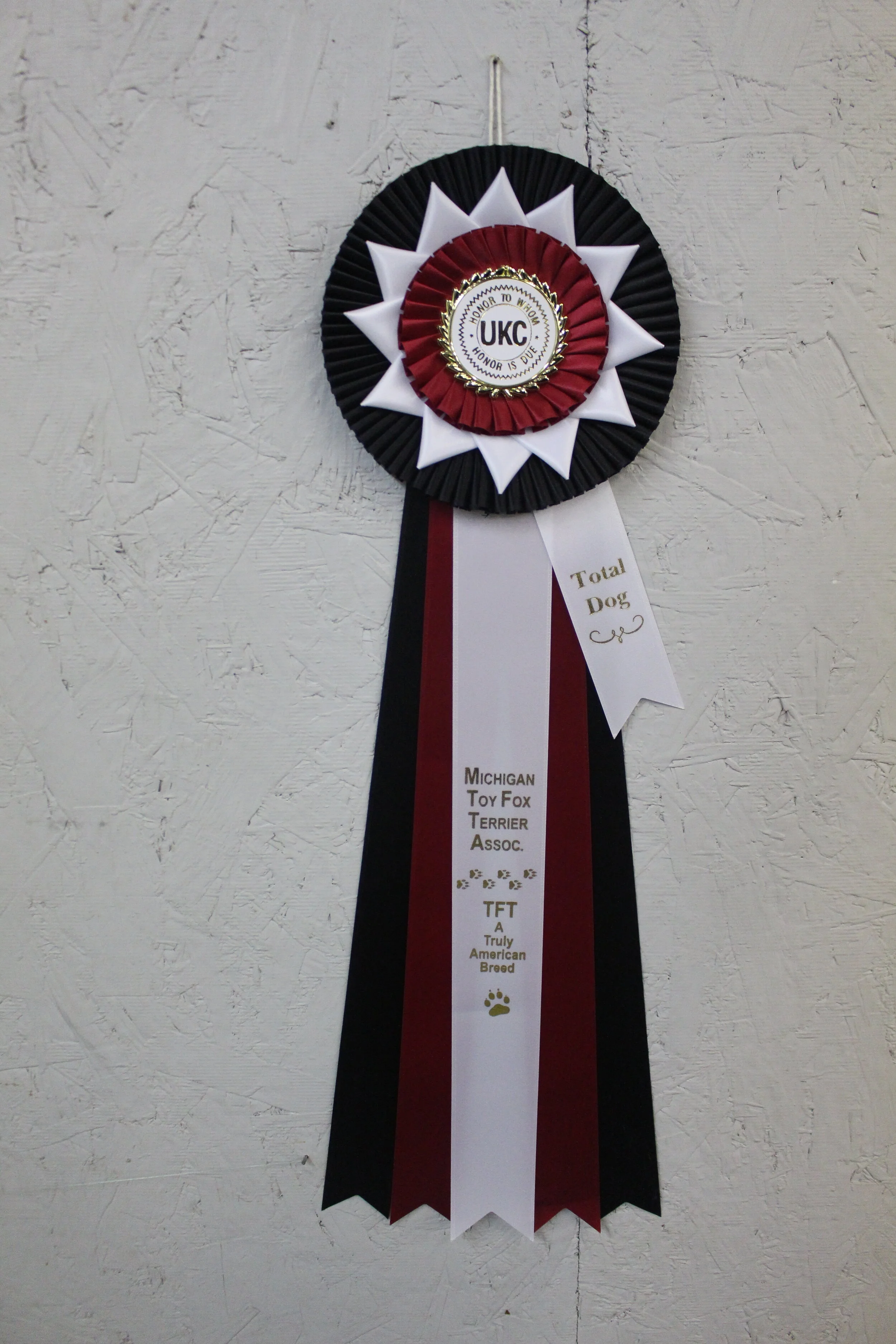 2019 Awards Total Dog ribbon.