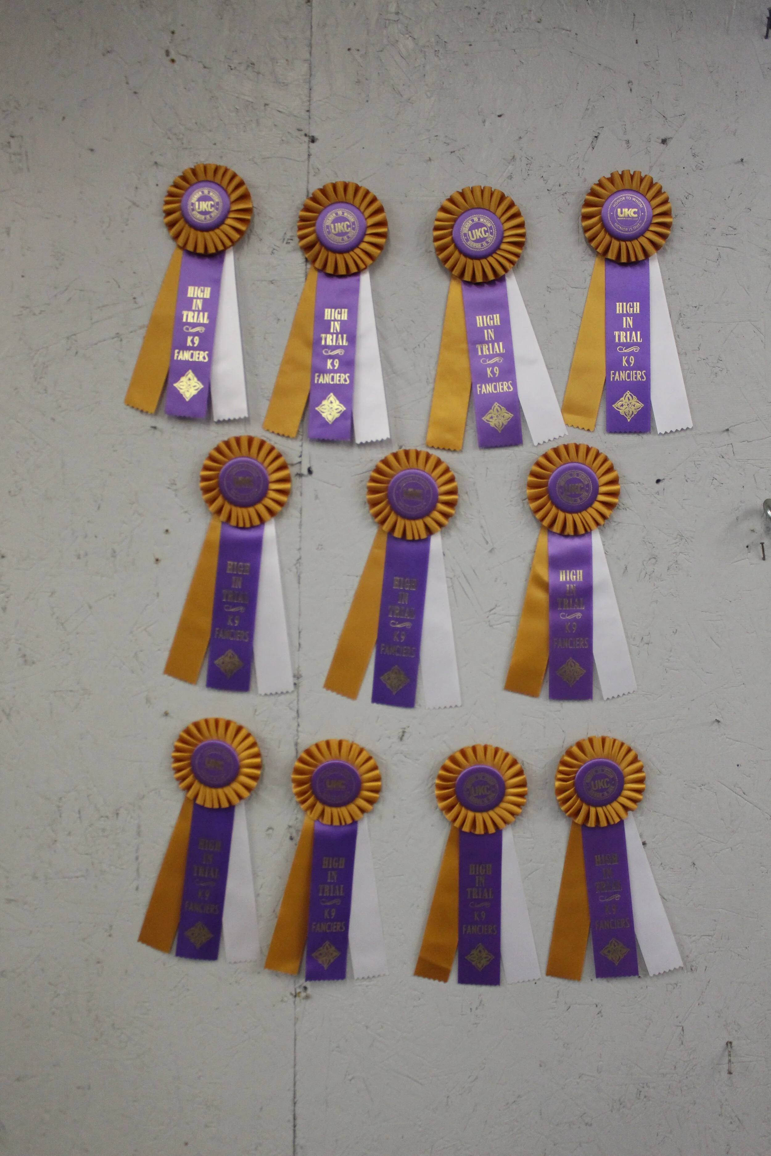 2019 Awards All High in Trial Ribbons for the year.