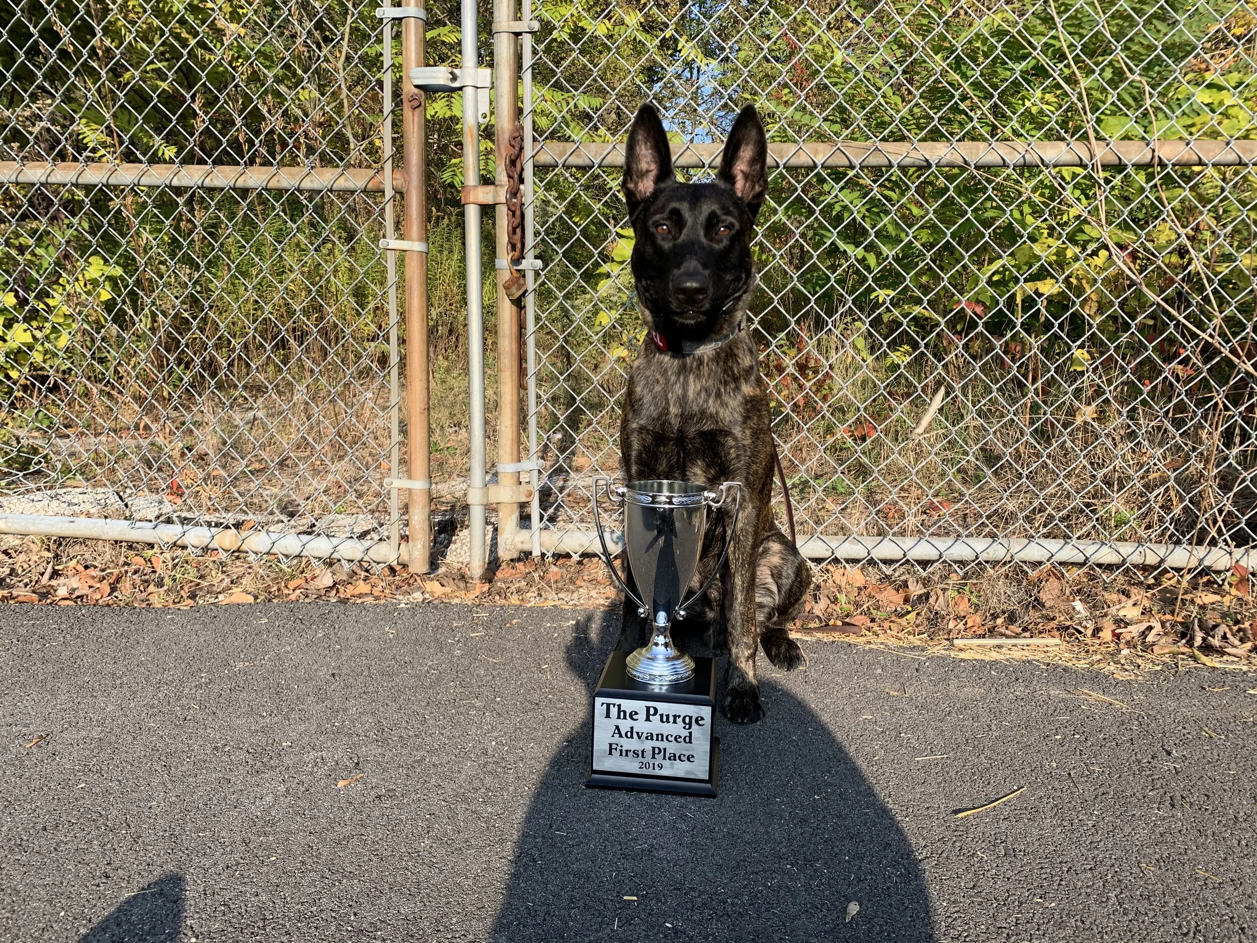 Purge Protection Trial 1st Place Advanced
October 2019