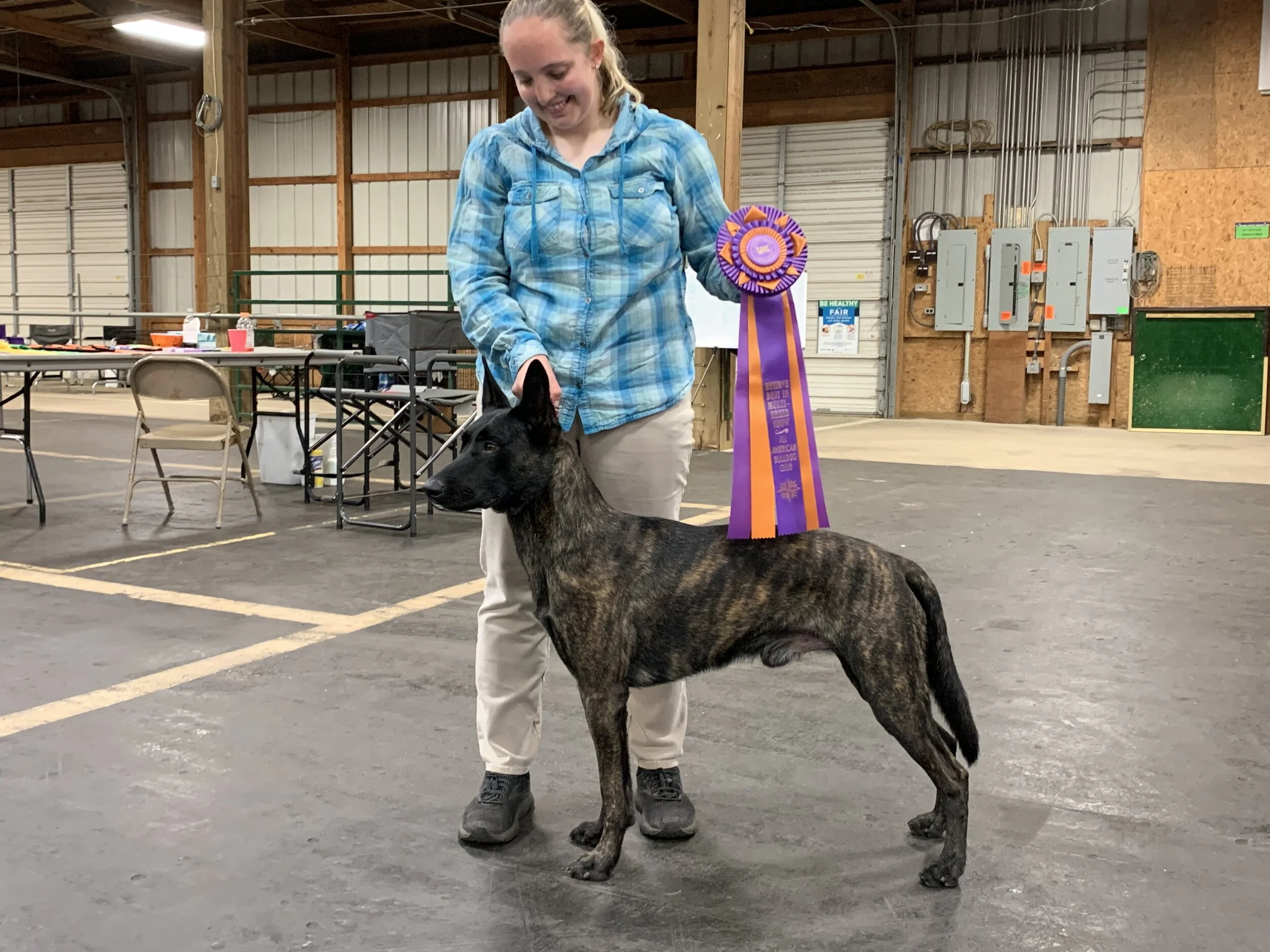 All American Bulldog Club Reserve Best in Show October 2019