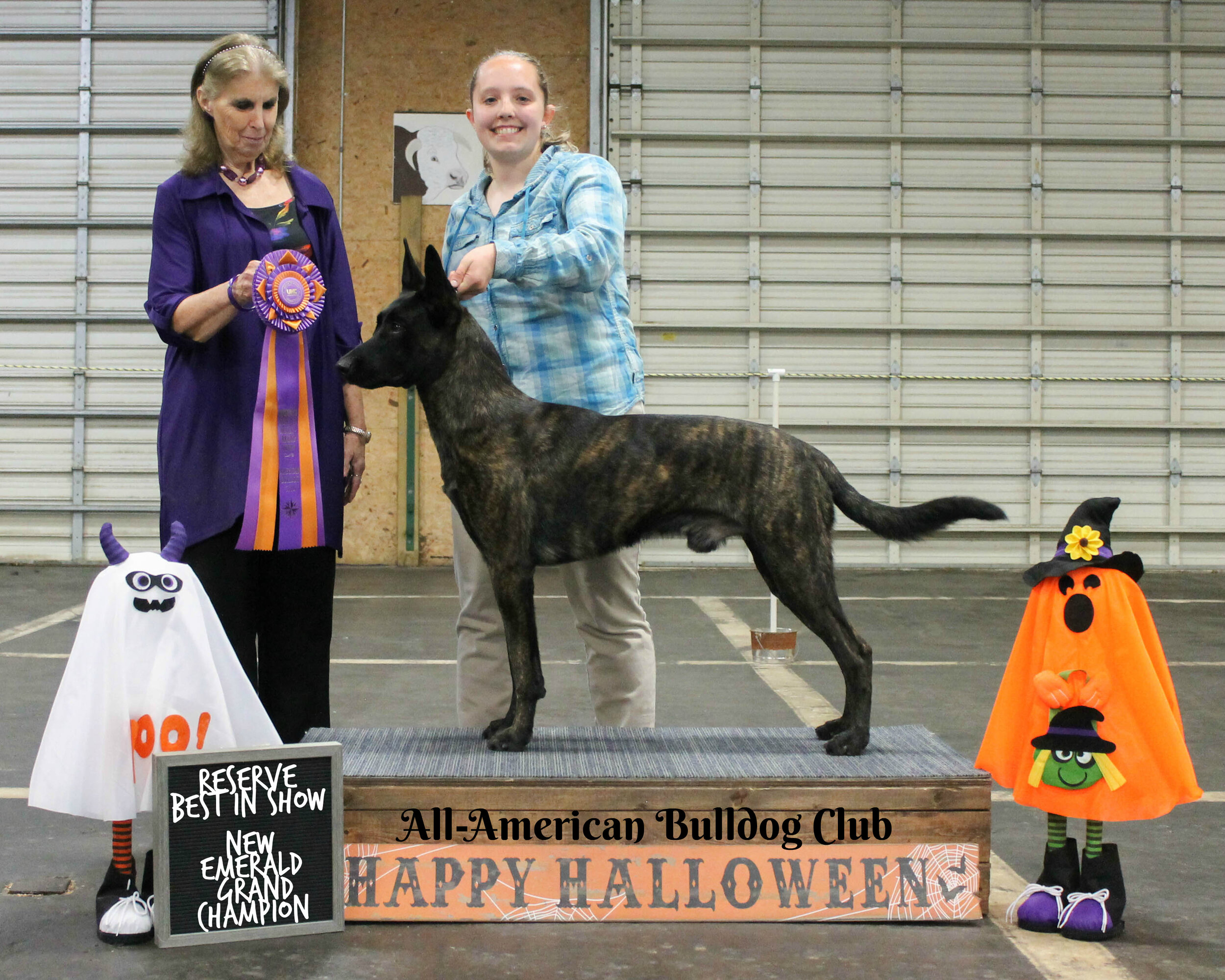 All American Bulldog Club Reserve Best in Show October 2019