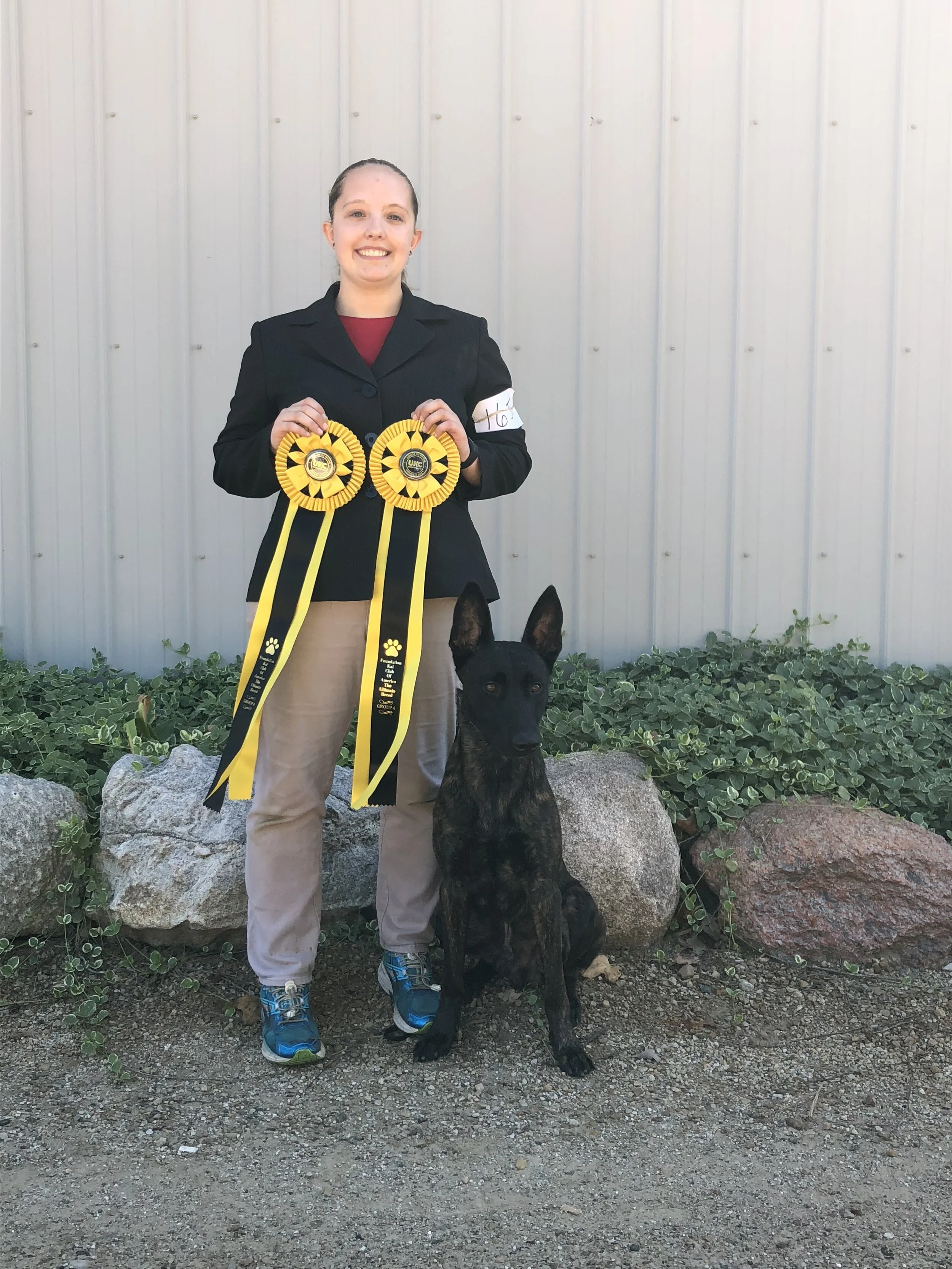 Foundation Kai Club of America UKC Show
Two Group 4s
September 2018