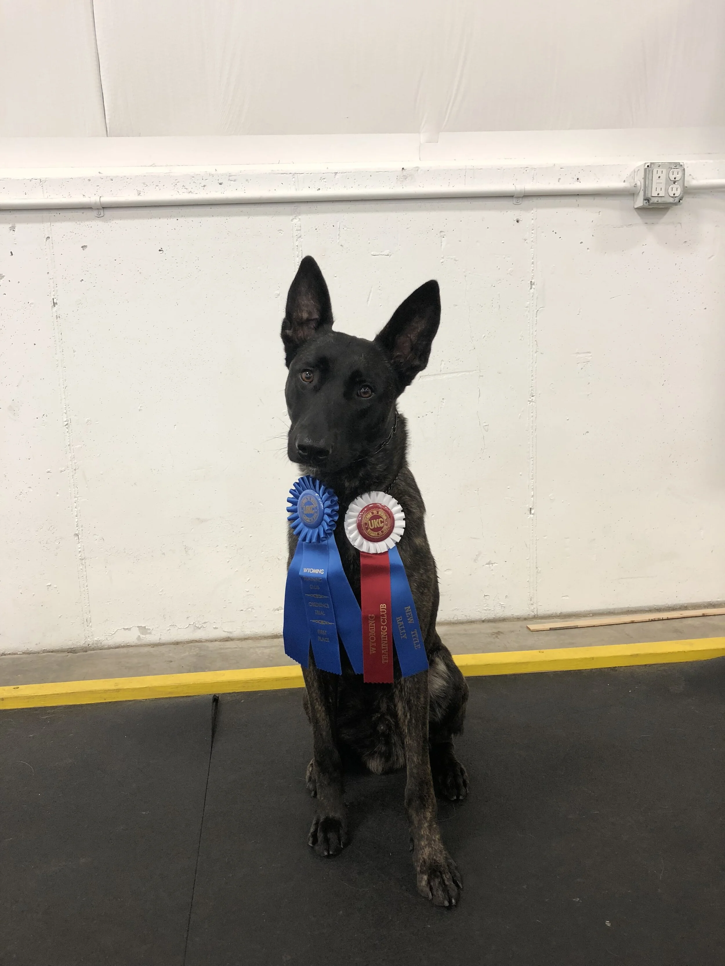 Marvel URO1 Title with a First Place
June 2018