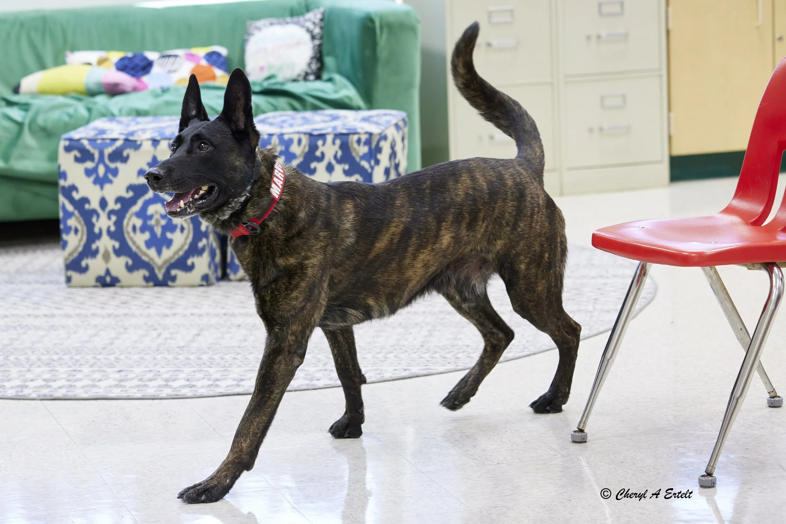 DO-ACT-SC 264387.JPG