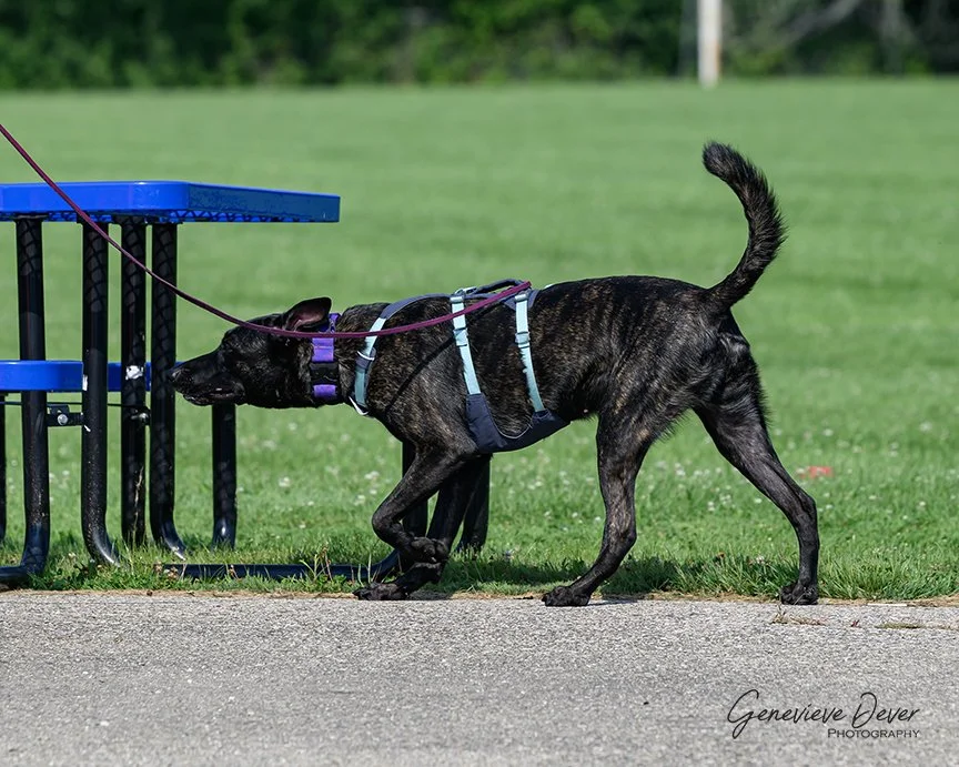 FridayAug2024_6988Web.JPG