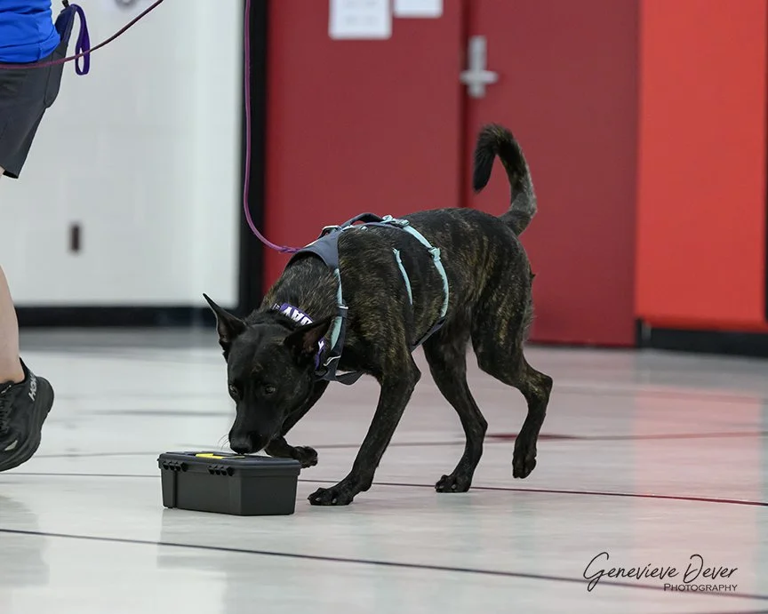 FridayAug2024_9237Web.JPG