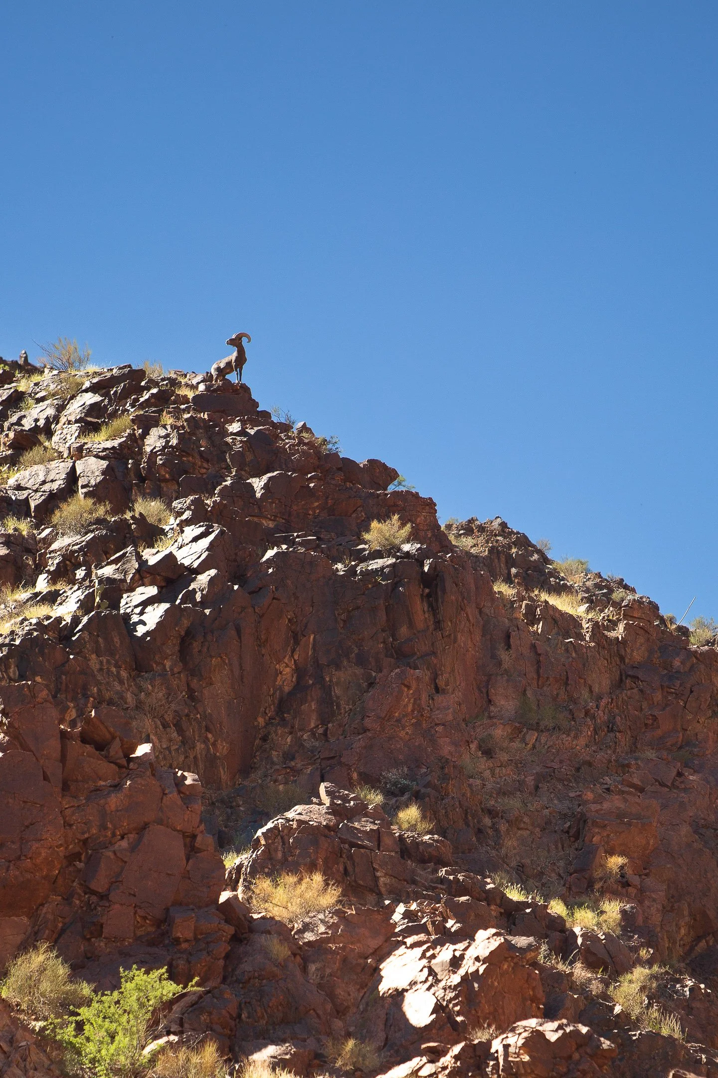 Final Edit (Online Use-Social Media Use)-113.JPG