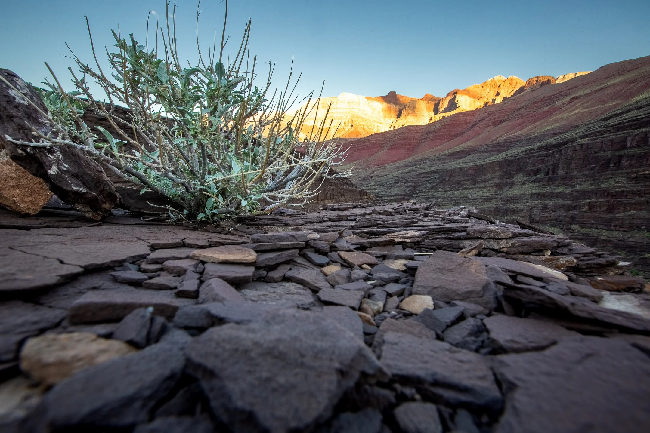 Final Edit (Online Use-Social Media Use)-106.JPG