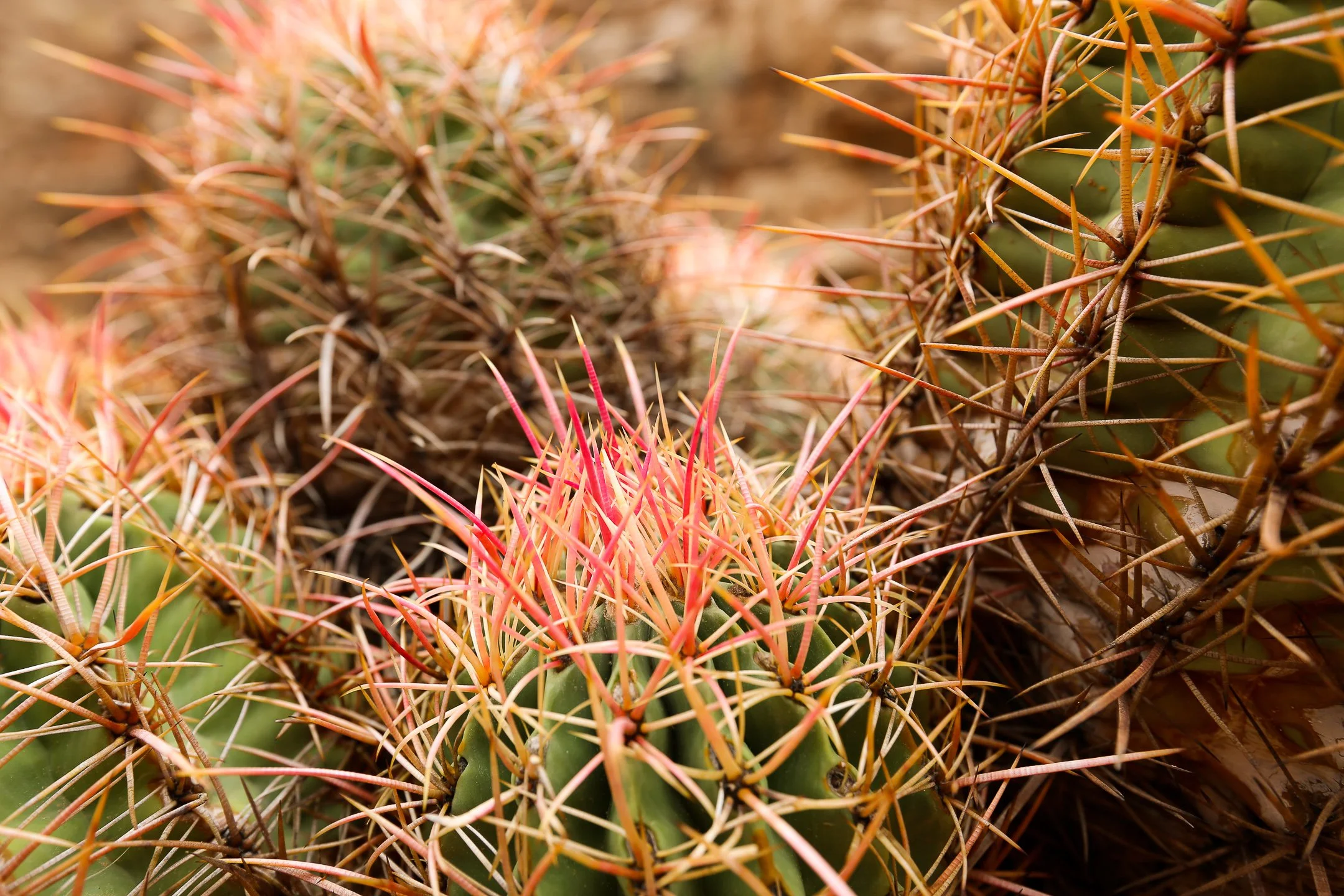 Final Edit (Online Use-Social Media Use)-35.JPG