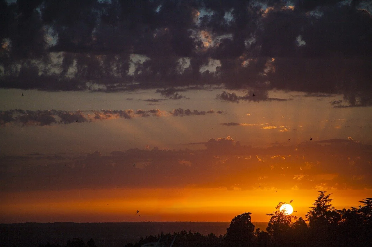 sunscape-3763480_1280.jpg