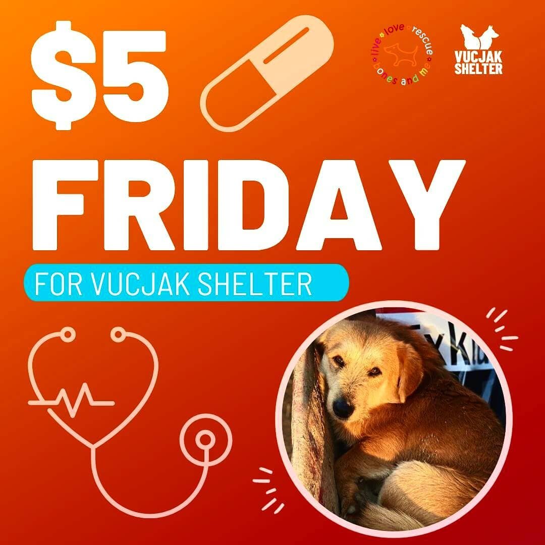 Today is $5 FRIDAY
After the holidays we typically see a spike in new rescues. This year is no different. Dejan has new dogs abandoned or found everyday who need medical attention. Please help us help Dejan @vucjakshelter!! He can't do this alone 🙏?
