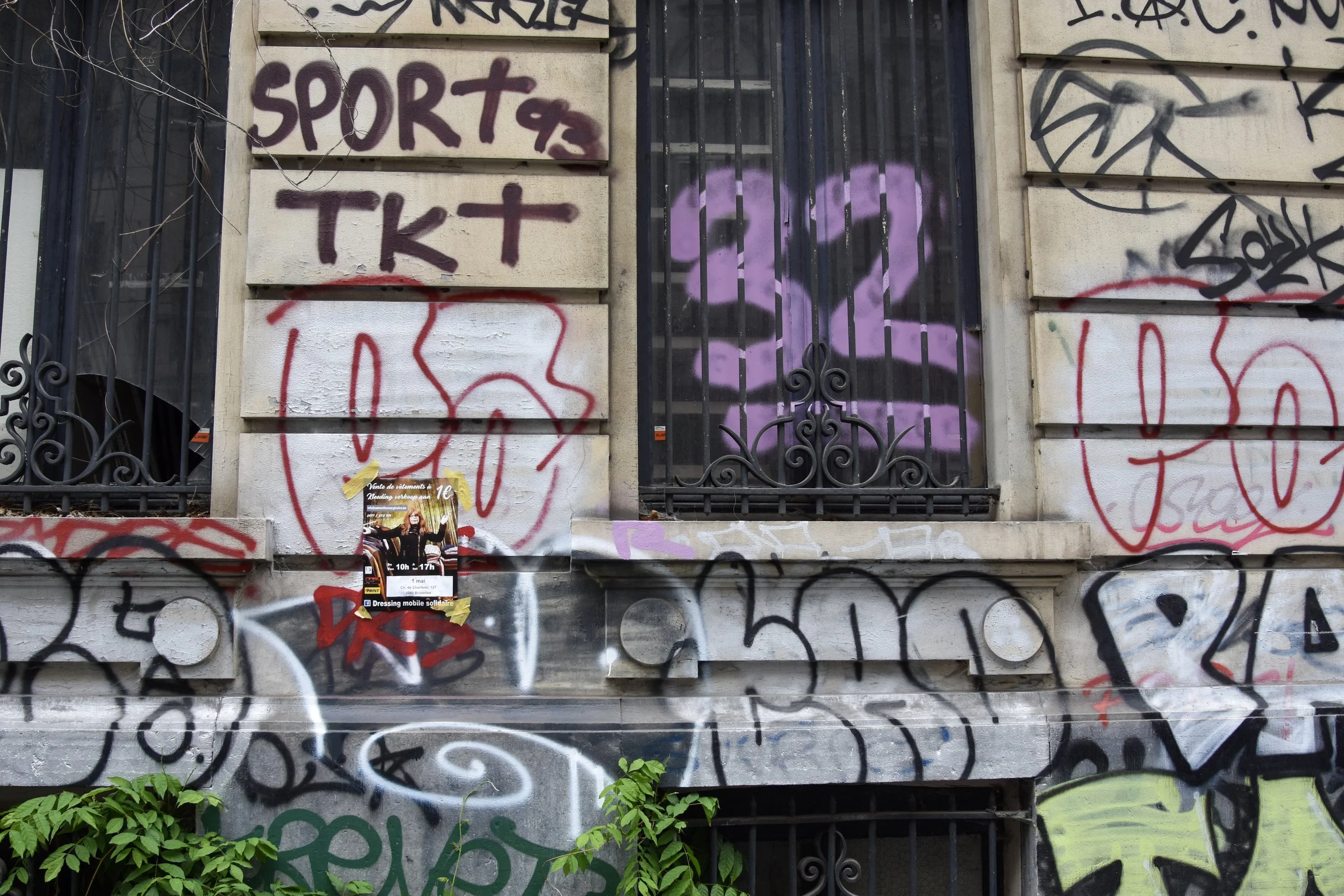 DSC_4608.jpg