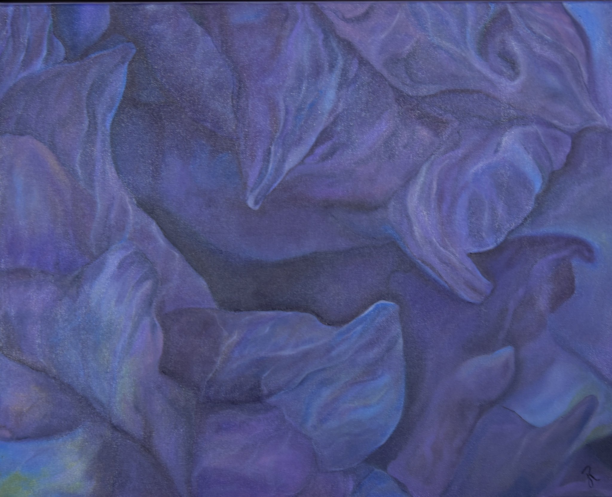 Wisdom - Oil 24" x 30"