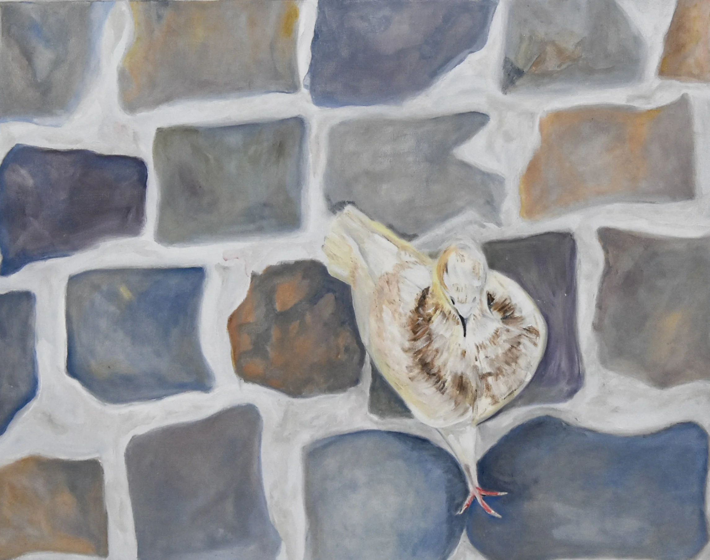 Le Seul Pigeon Oil on linen 22" x 28"