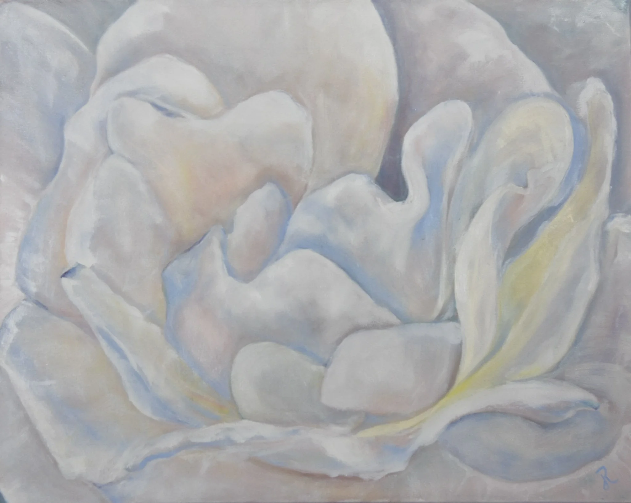 Purity- Oil 24" x 30"