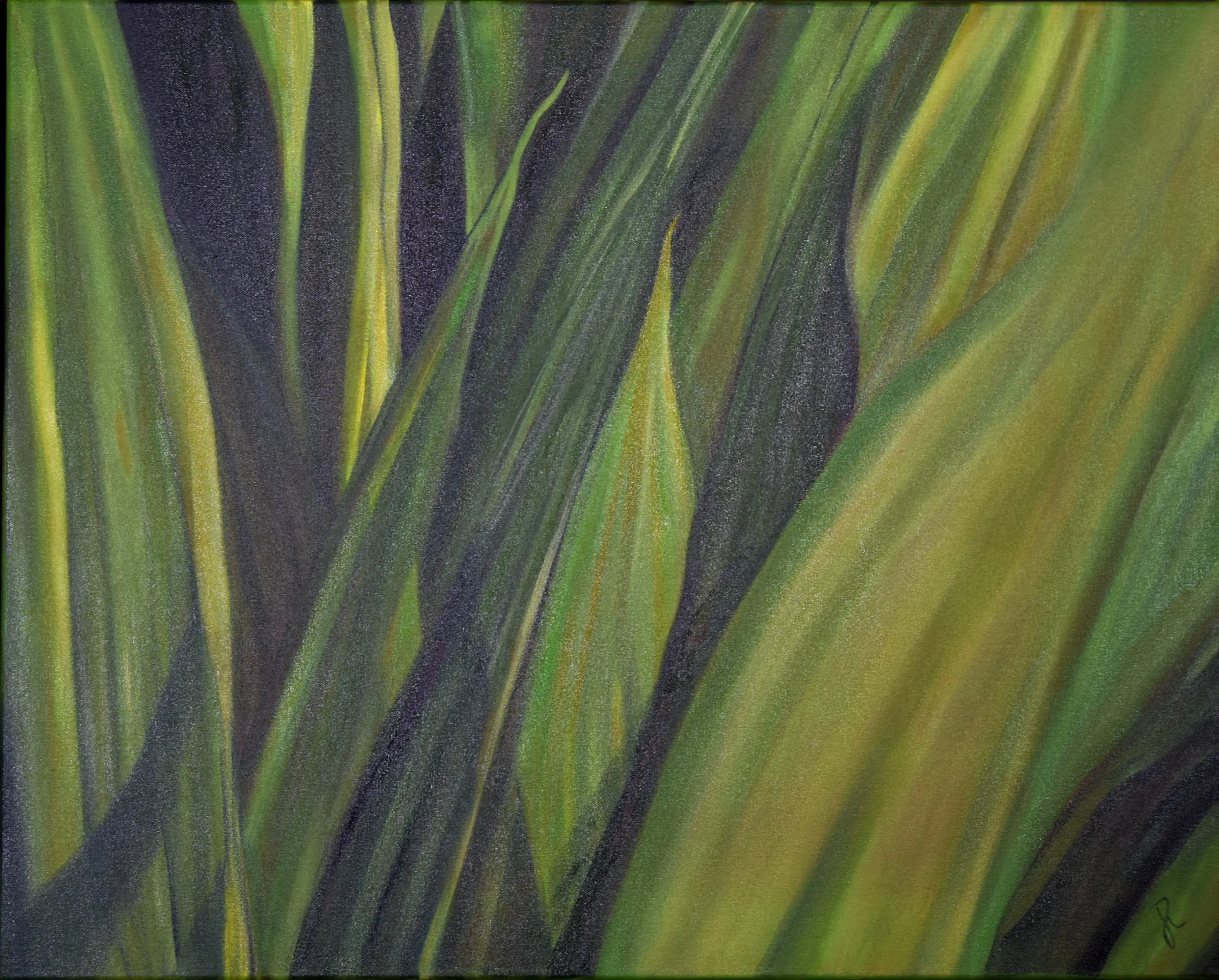 Abundance - Oil 24" x 30"